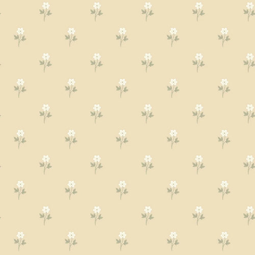 ANEMONE tapeet