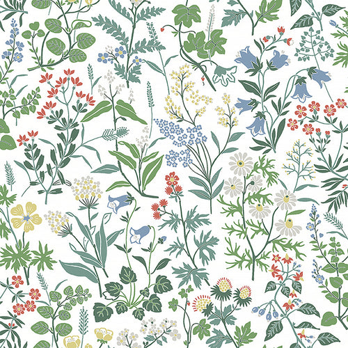 Flora wallpaper