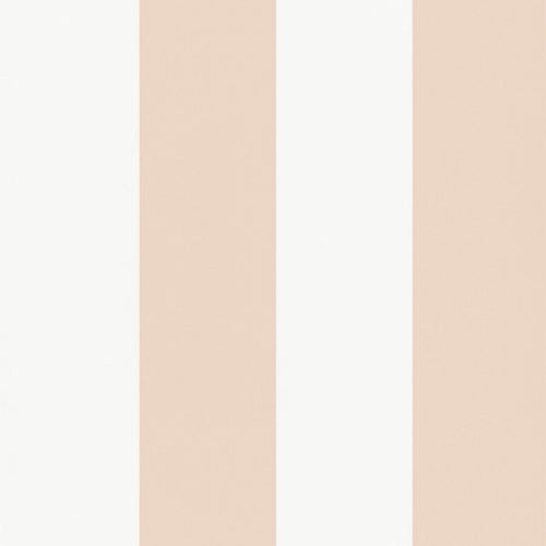 MORNING BLUSH LINEUP tapeet