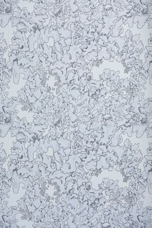 LICHEN WALLPAPER: DUST tapeet