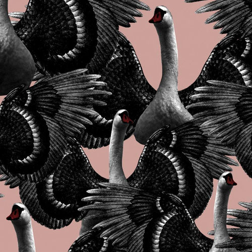 SWAN LAKE TAPET | PINK tapeet