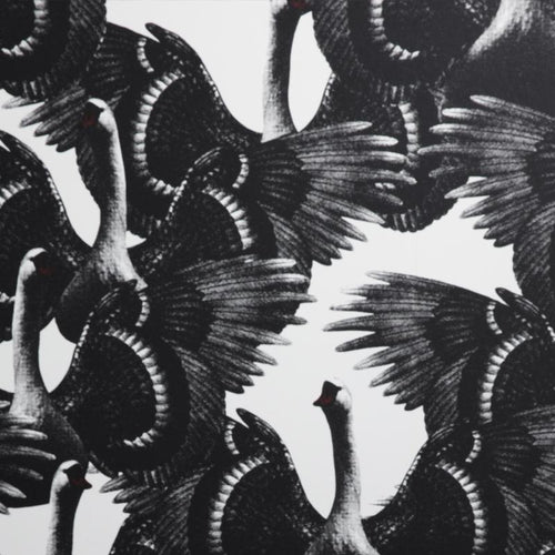 SWAN LAKE TAPET | WHITE tapeet
