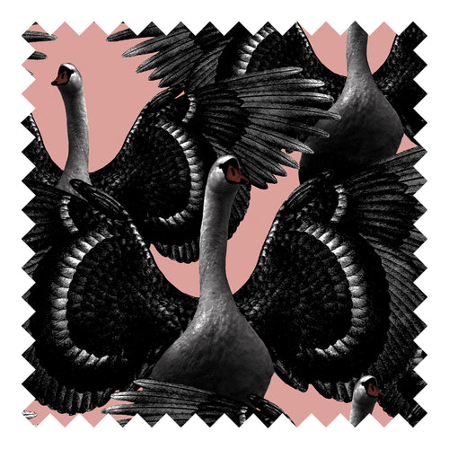 SWAN LAKE kangas