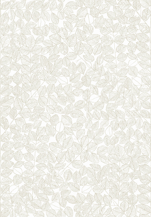 ROMANS wallpaper