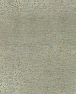 TEXTILE TEXTURES tapeet