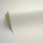 LINEN 2 UNI METALLISE/IRISE wallpaper (9 colours)