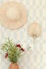WHIPPED CREAM - SEAFOAM BLUE wallpaper