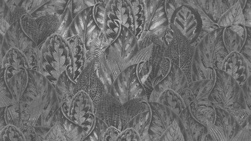 VIBRANT WONDERLAND pilttapeet