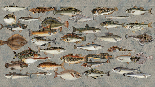 UNDERWATER wallpanel