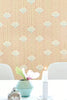 CAIPIRINHA - CORAL BLUSH tapeet