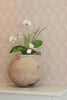 LOLO - LATTE MACCHIATO BROWN wallpaper