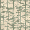 AME wallpaper