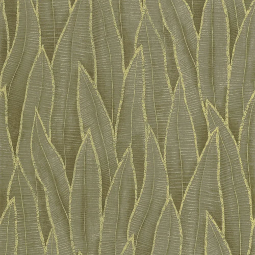 SANSEVIERIA tapeet