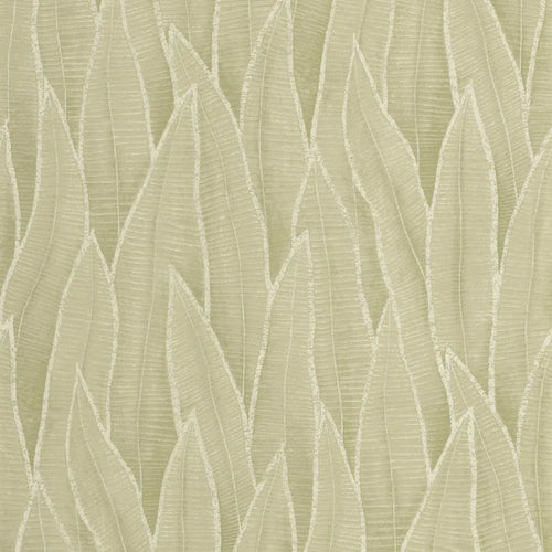 SANSEVIERIA tapeet