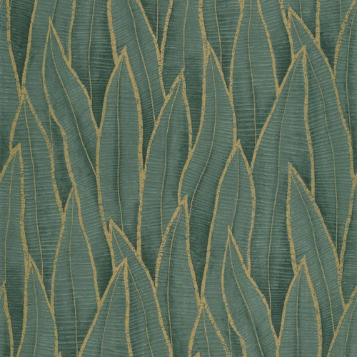 SANSEVIERIA wallpaper