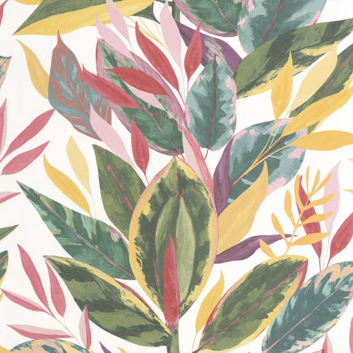 FICUS wallpaper
