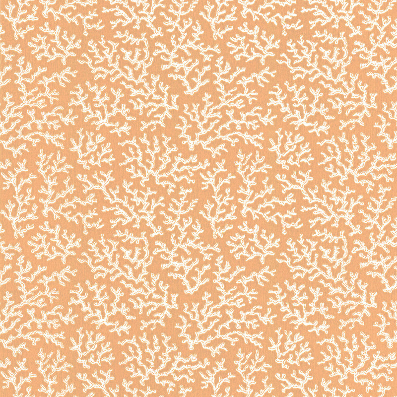 CORAL - PEACH wallpaper