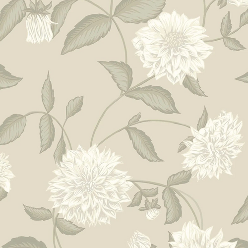 DAHLIADRÖM wallpaper