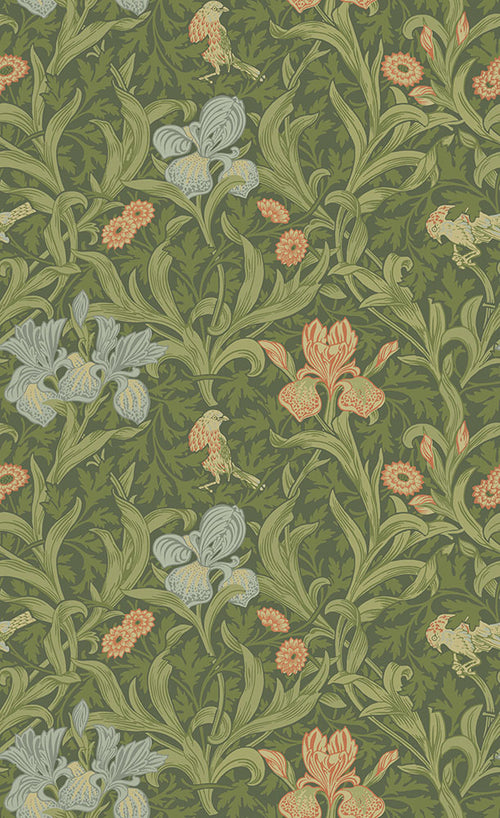 IRIS wallpaper
