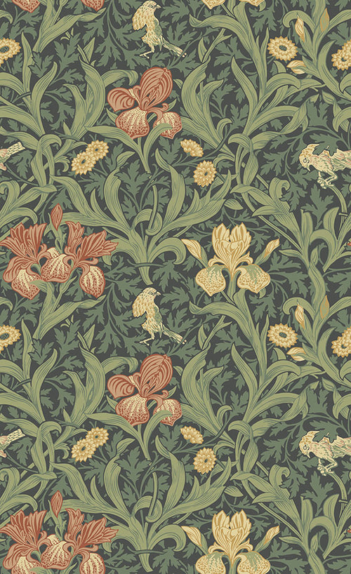 IRIS wallpaper