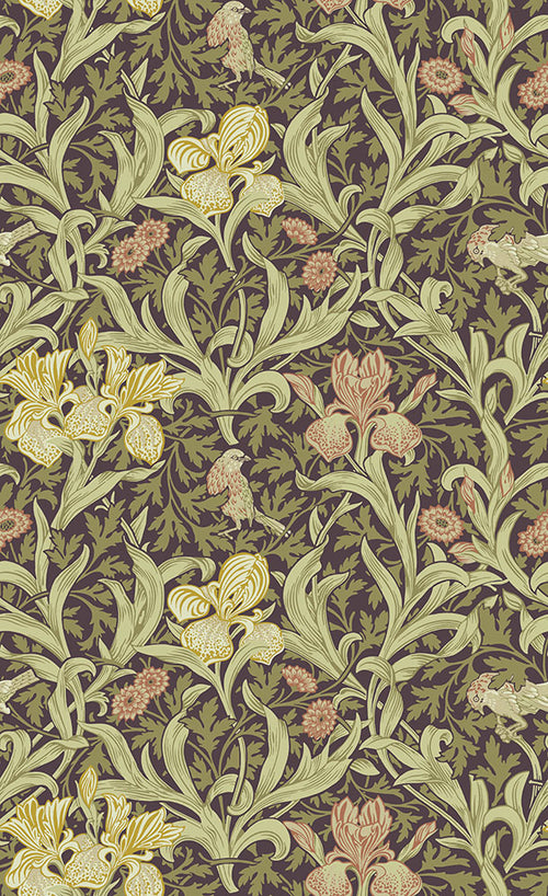 IRIS wallpaper