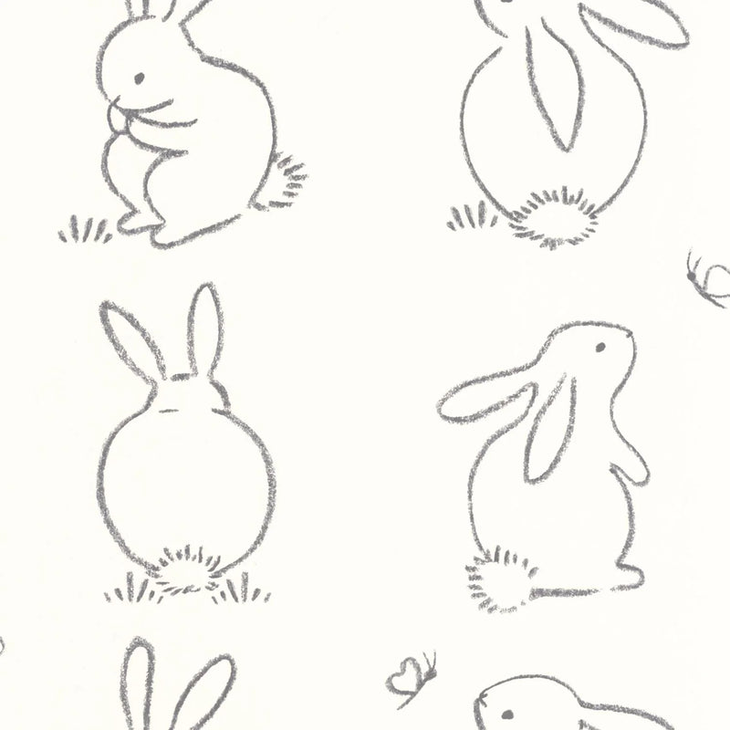 Funny Bunny