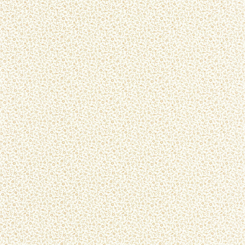 MYOSOTIS wallpaper