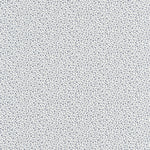 MYOSOTIS wallpaper