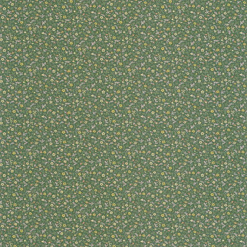 MYOSOTIS wallpaper