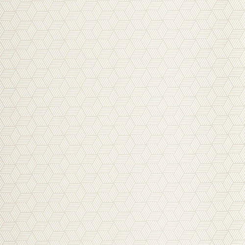 CONNEXIONS wallpaper
