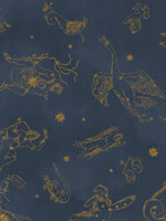 CONSTELLATIONS laetapeet