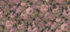 ROSE MAGNIFIQUE pilttapeet