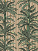 RAYURE PALMIER pilttapeet