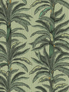 RAYURE PALMIER pilttapeet
