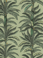 RAYURE PALMIER pilttapeet