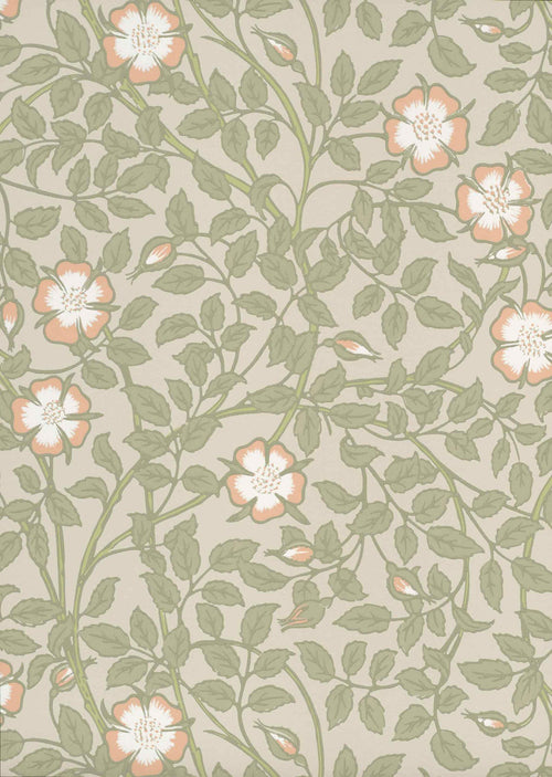 BRIAR ROSE tapeet