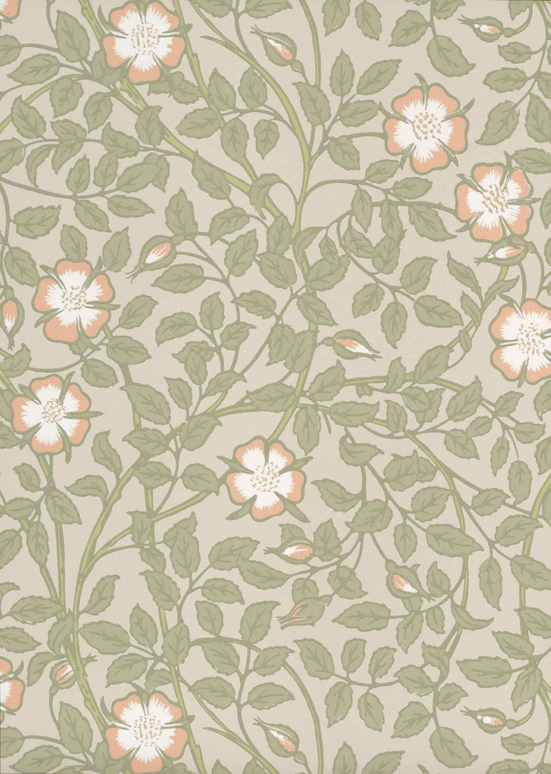 BRIAR ROSE tapeet