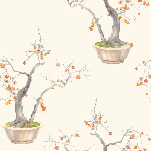 KAKI PERSIMMON tapeet
