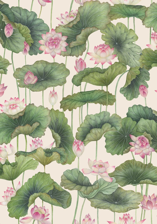 LILY LOTUS tapeet