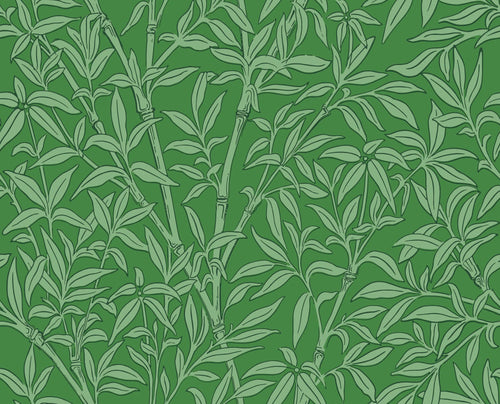 BAMBOO FOREST wallpaper