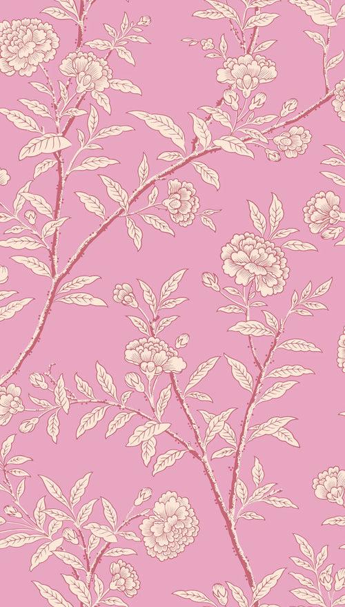 ROSEBERRY wallpaper