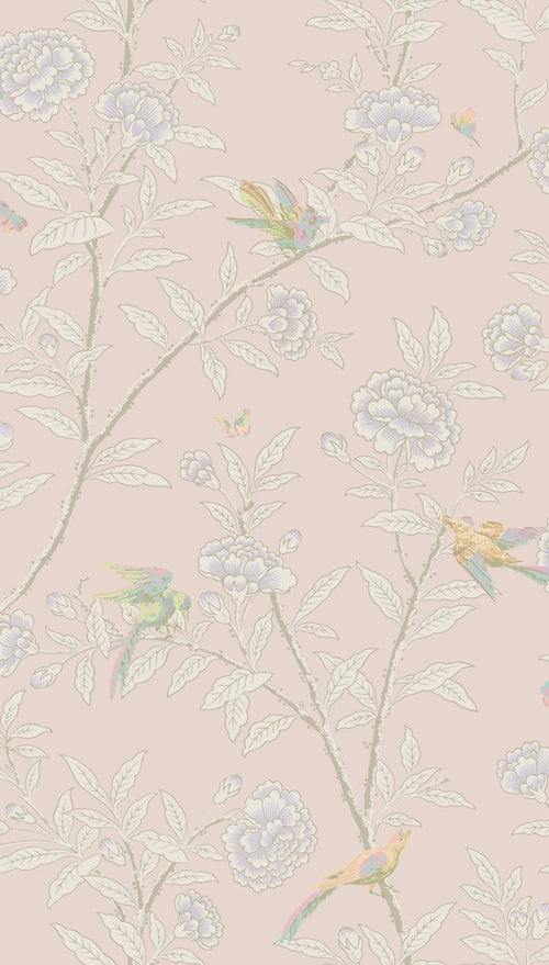 ROSEBERRY WITH BIRDS wallpaper