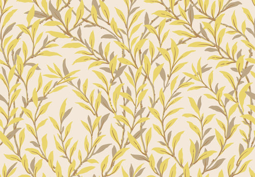 WILLOW BRANCH wallpaper