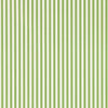 PINETUM STRIPE tapeet