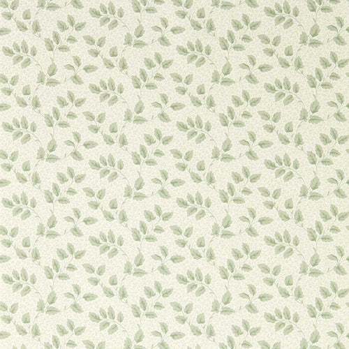 TOMATO LEAF wallpaper