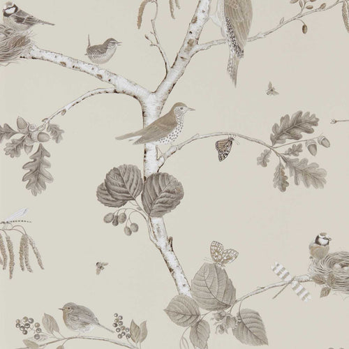 WOODLAND CHORUS tapeet