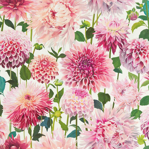 DAHLIA WIDE WIDTH wallpaper