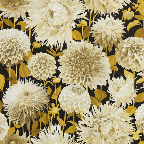 DAHLIA WIDE WIDTH wallpaper
