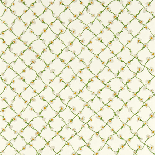 DAISY TRELLIS wallpaper