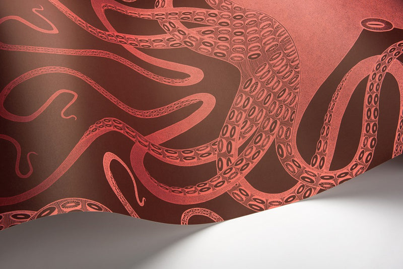 Octopus wallpaper